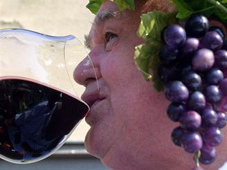 Vinobraní, slavnost vína