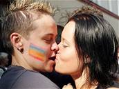 Homosexuálové, lesby, registrované partnerství
