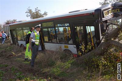 Autobus ml namíeno do Kimic