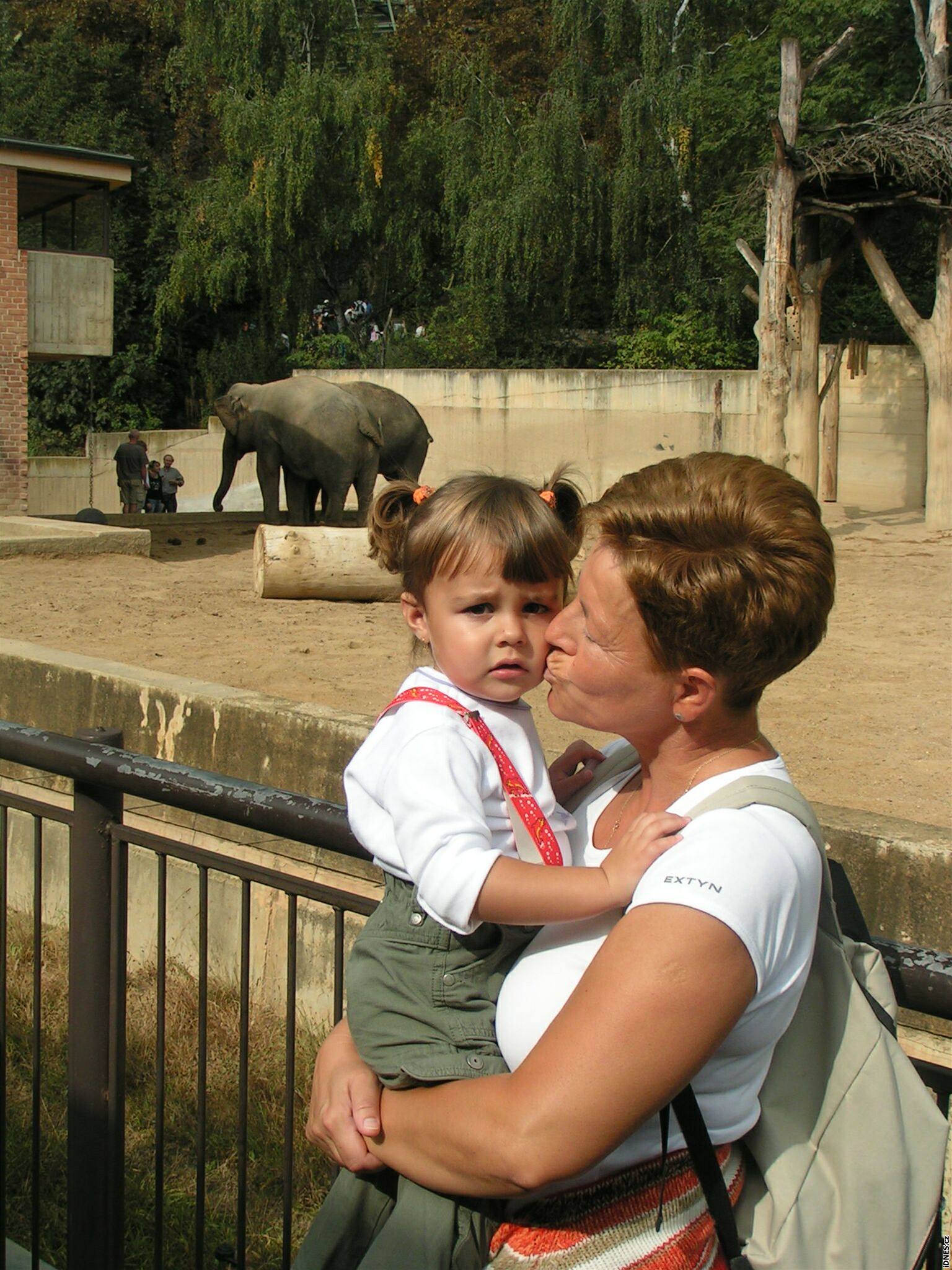 Zoologická zahrada v Praze vznikla pes 75 lety.