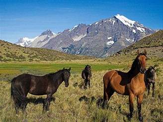 Patagonie, Nrodn park Torres del Paine