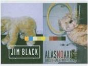 Jim Black: Dogs Of Great Indifference