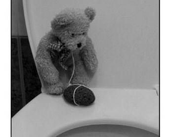 Medvídek v depresi