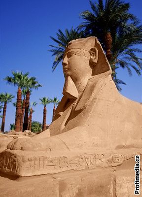 Copyright by se vztahoval i na sfingy, které hlídají chrám v Luxoru.
