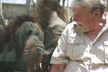 Jeden z posledních snímk prof. Veselovského v zoo Praha - pi oslav narozenin orangutana Kamy v ervnu 2006.