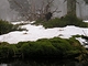 Vrch Klep� (1144 m)