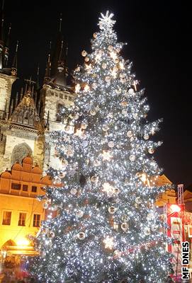 Vánoní strom na Staromtském námstí v Praze.