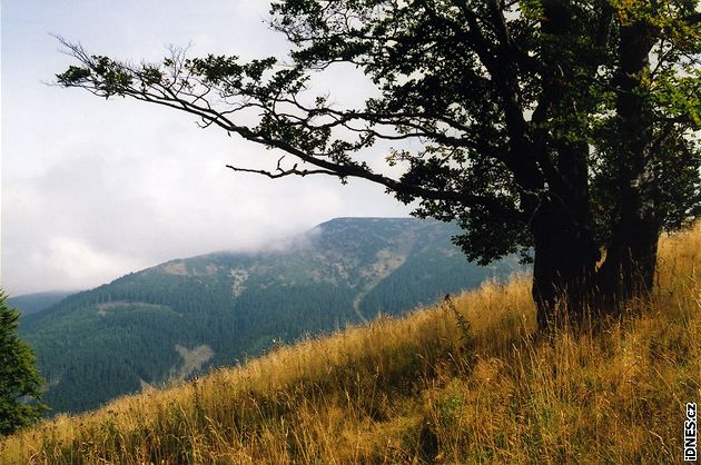 Starohorské vrchy