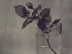 Josef Sudek - fotografie