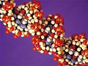 Ultrafialové záení nií DNA bakterií