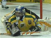 Vsetínský gólman Martin �tefl