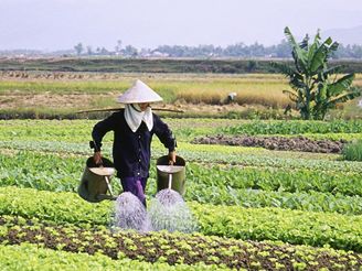 Vietnam eká píchod zahraniních firem.