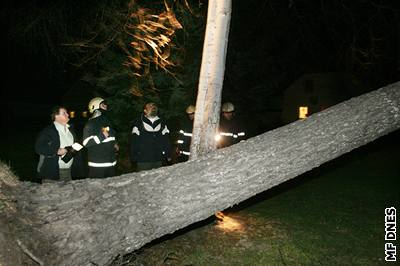 Hasii odstraují vyvrácený strom.