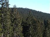 Boub�n - Pohled na Boub�n s rozhlednou.