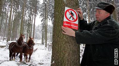 Na dodržování zákazu vstupu do postižených míst budou dohlížet lidé z lesní stráže