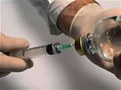 V České republice se provádí celoplošné očkování vakcínou příušnicím.
