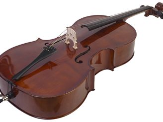 Vzácné violoncello má milionovou hodnotu, ale zlodji by bylo k niemu. Ilustraní foto