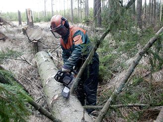 Prací na odstranní následk vichice se rozhodnutí ÚOHS netýká.