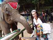 Mirka Koanová na vystoupení slon, kteí tanili a hráli také fotbal