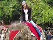 Mirka Koanová na vystoupení slon, kteí tanili a hráli také fotbal