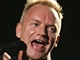 Sting