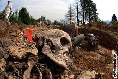 U Srebrenice zemřely tisíce muslimských mužů.