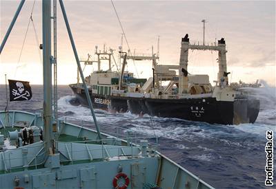 Nisin Maru je hlavní lo japonské velrybáské flotily. Ped dvma týdny na ní uhoel jeden z len posádky