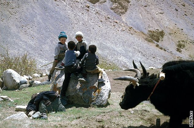 Trek pes sedlo Stakspila, Himálaj