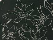 Andy Warhol - Poinsettias CA (a)