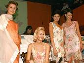 Filmovou party ozdobila sedící eská Miss 2007 Lucie Hadaová, Eva ereáková, Lilian Sarah Fisherová a Blanka Javorská