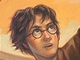 Harry Potter and Deathly Hallows - americk oblka, kterou pebr i Albatros