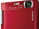 Sony T100