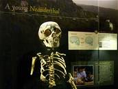 Kostra neandertálského dítte