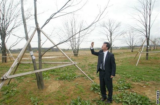 V Porub vznikne nový park se tyiceti vzrostlými stromy a pti tisíci kei. Ilustraní foto.