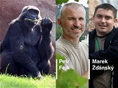 On-line rozhovor o gorilím porodu v praské zoo