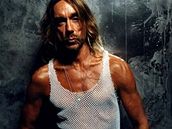 Iggy Pop