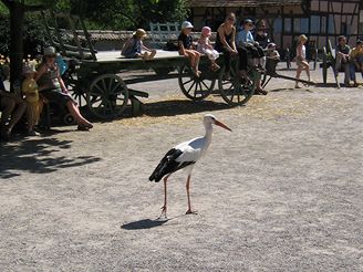 Ecomuseum Ungersheim