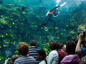 Atlanta - moské akvárium