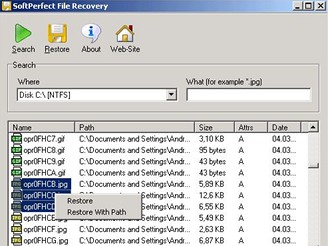 SoftPerfect File Recovery