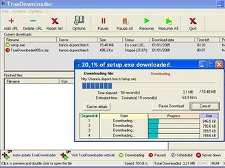 TrueDownloader