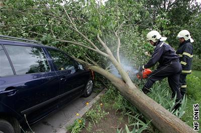 Na Plzesku dlal problémy silný vítr, který poráel stromy