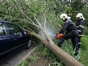 Na Plzesku dlal problémy silný vítr, který poráel stromy