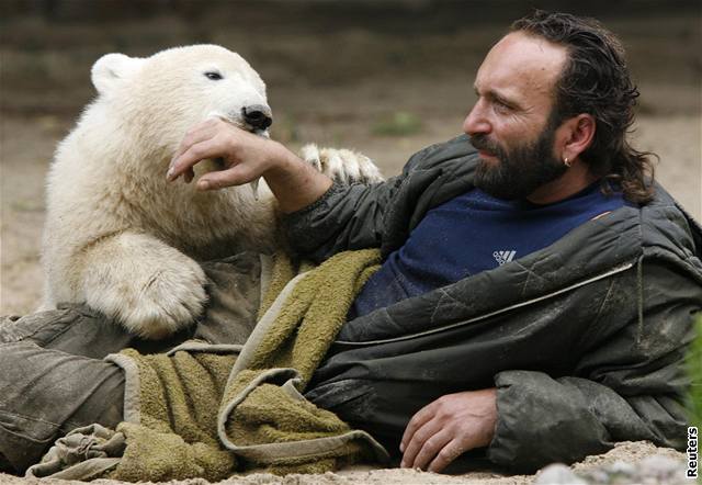 Knut za rok poádn vyrostl. Váí u 110 kilogram.