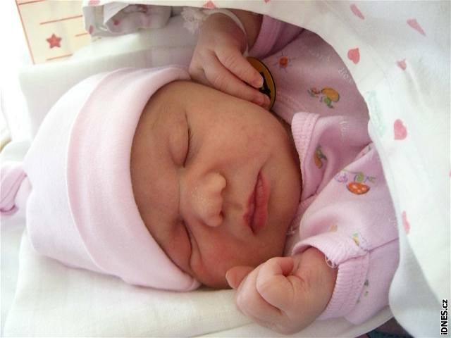 Porody 2007: rekordmanem je Saudek, narodilo se mu osmé dít