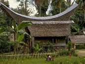 Ve vesnice na ostrov Sulawesi je kvli vousatému dítti pozdviení. Ilustraní foto