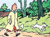 Tintin