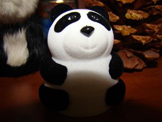 Panda makro