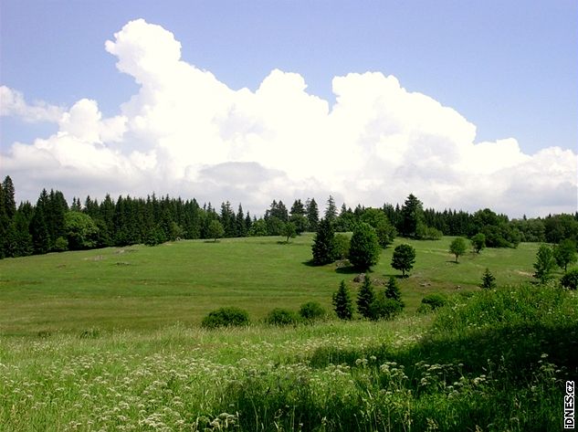 Novohradské hory: Kuní hora a Staré Hut