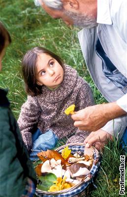 Děti do tří let by houby neměly jíst vůbec, ale při sbírání určitě rády pomohou.