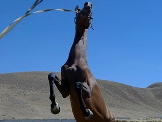 Trabantem v Turkmenistnu